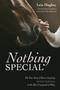 Cover image: Nothing Special 9781532675010