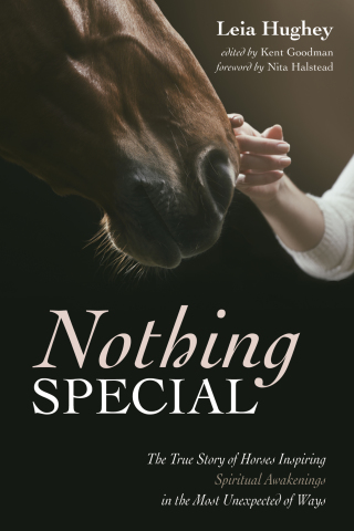 Imagen de portada: Nothing Special 9781532675010