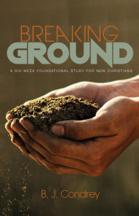 Cover image: Breaking Ground 9781532678776