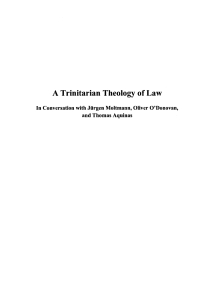 Imagen de portada: A Trinitarian Theology of Law 9781606088777