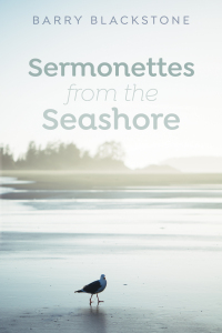 Omslagafbeelding: Sermonettes from the Seashore 9781532682551
