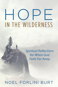 Imagen de portada: Hope in the Wilderness 9781532689345