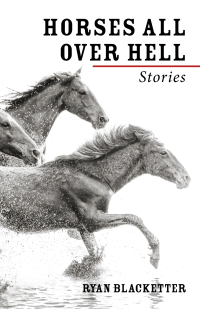 Omslagafbeelding: Horses All Over Hell 9781532689895