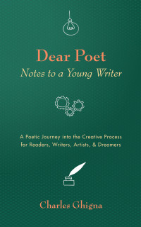 Cover image: Dear Poet: Notes to a Young Writer 9781532692567