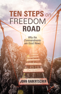 Cover image: Ten Steps on Freedom Road 9781532693953