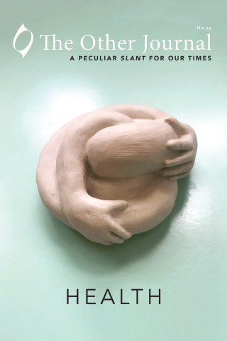 Cover image: The Other Journal: Health 9781532694561
