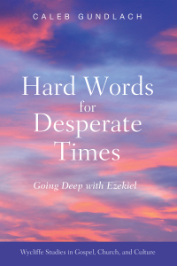 Cover image: Hard Words for Desperate Times 9781532695018