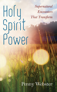 Imagen de portada: Holy Spirit Power 9781532695162