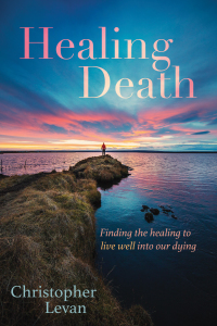 Cover image: Healing Death 9781532695254