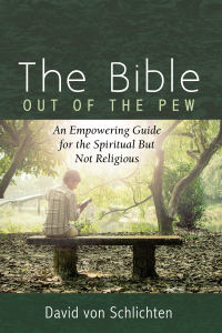 Titelbild: The Bible Out of the Pew 9781532696510