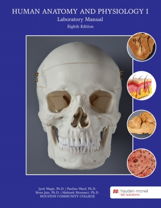 Cover image: Human Anatomy and Physiology I Lab Manual - Houston Community College 8th edition 9781533903112