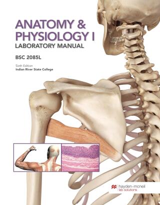 Cover image: Anatomy & Physiology I Laboratory Manual BSC 2085L - Indian River State College 6th edition 9781533949219