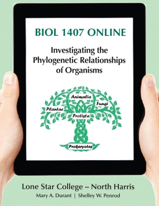 Cover image: BIOL 1407 ONLINE: Investigating the Phylogenetic Relationships of Organisms 3rd edition 9781533970091