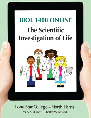 Cover image: BIOL 1408 ONLINE: The Scientific Investigation of Life 9th edition 9781533970107