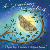Cover image: An Extraordinary Ordinary Moth 1st edition 9781585363728