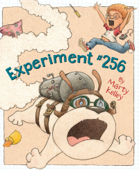 Cover image: Experiment #256 1st edition 9781534110137