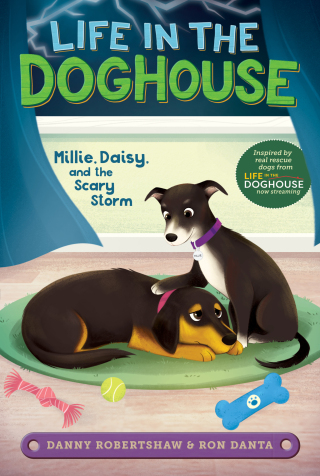 Cover image: Millie, Daisy, and the Scary Storm 9781534482685