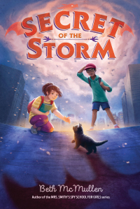 Cover image: Secret of the Storm 9781534482869