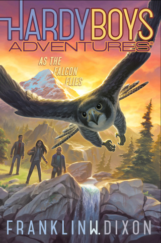 Cover image: As the Falcon Flies 9781534483255