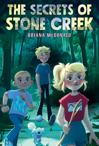 Cover image: The Secrets of Stone Creek 9781534498273