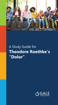 Cover image: A Study Guide for Theodore Roethke's "Dolor" 1st edition 9781410328502