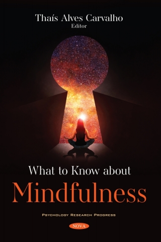 表紙画像: What to Know about Mindfulness 9781536186208