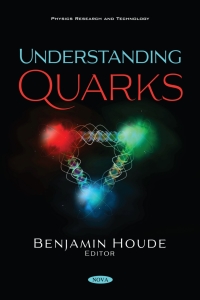 Imagen de portada: Understanding Quarks 9781536195286