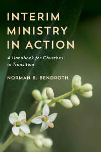 Immagine di copertina: Interim Ministry in Action 9781538104996