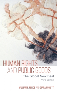 صورة الغلاف: Human Rights and Public Goods 3rd edition 9781538129319