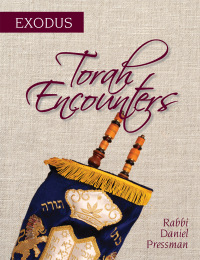 Imagen de portada: Torah Encounters 9781538131220