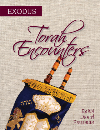 Cover image: Torah Encounters 1st edition 9781538131220