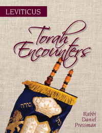 Immagine di copertina: Torah Encounters 9781538131244