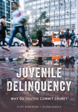 Cover image: Juvenile Delinquency 9781538131893