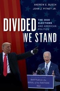 Immagine di copertina: Divided We Stand 9781538141526