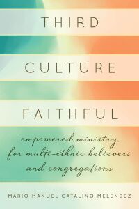 Cover image: Third Culture Faithful 9781538147252