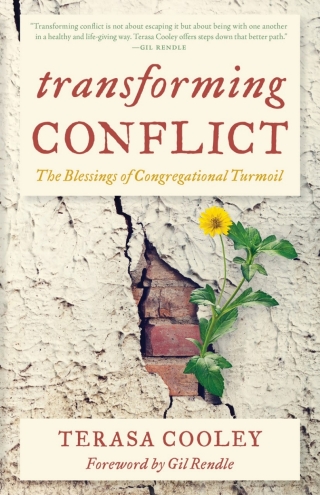 Omslagafbeelding: Transforming Conflict 9781538161838