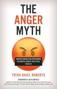 Titelbild: The Anger Myth 9781538180945