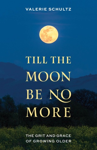 Cover image: Till the Moon Be No More 9781538193372