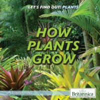 Cover image: How Plants Grow 1st edition 9781538301890