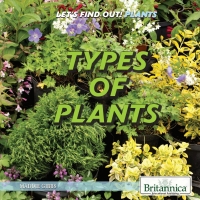 Cover image: Types of Plants 1st edition 9781538302019