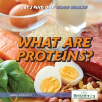Cover image: What Are Proteins? 1st edition 9781538302989