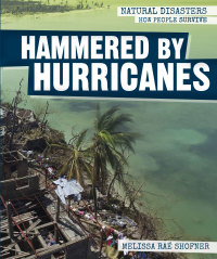 Cover image: Hammered by Hurricanes 9781538325612