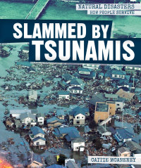 Cover image: Slammed by Tsunamis 9781538325650