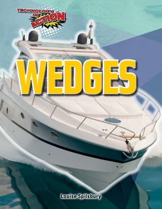 Cover image: Wedges 9781538337653