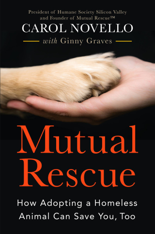 Cover image: Mutual Rescue 9781538713532