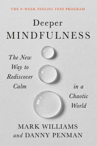 Cover image: Deeper Mindfulness 9781538726938