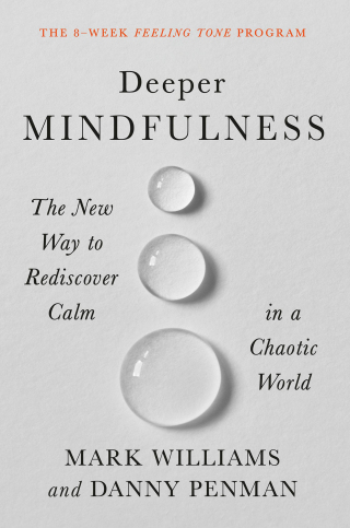 Cover image: Deeper Mindfulness 9781538726938
