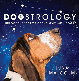 Cover image: Dogstrology 9781538737132