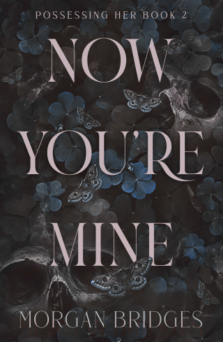 Cover image: Now You're Mine 9781538772140