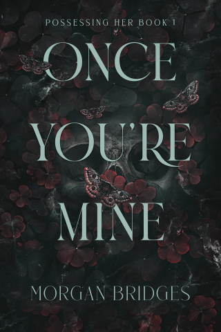 Cover image: Once You're Mine 9781538772164